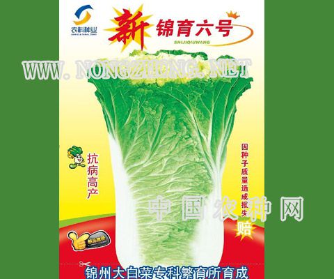 锦育六号